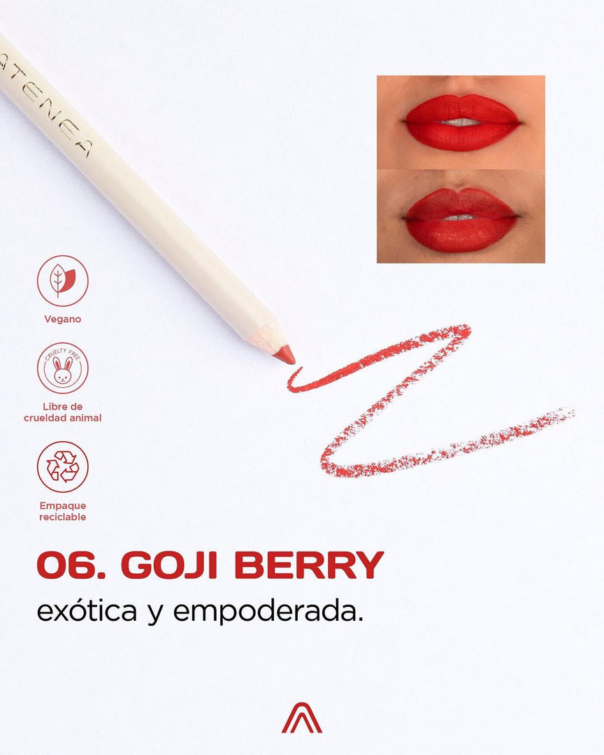 LÁPIZ DELINEADOR DE LABIOS